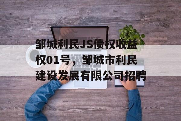 邹城利民JS债权收益权01号，邹城市利民建设发展有限公司招聘