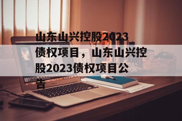 山东山兴控股2023债权项目，山东山兴控股2023债权项目公告