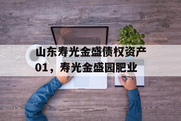 山东寿光金盛债权资产01，寿光金盛园肥业