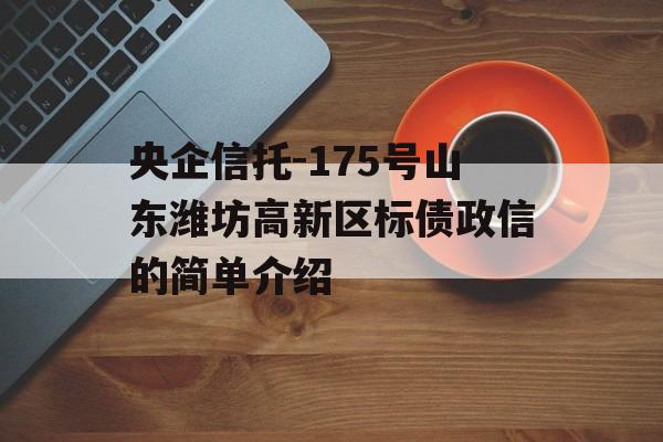 央企信托-175号山东潍坊高新区标债政信的简单介绍