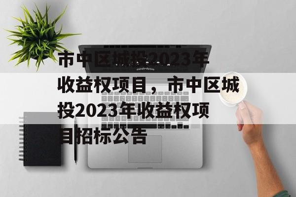 市中区城投2023年收益权项目，市中区城投2023年收益权项目招标公告