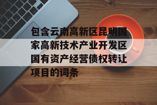 包含云南高新区昆明国家高新技术产业开发区国有资产经营债权转让项目的词条