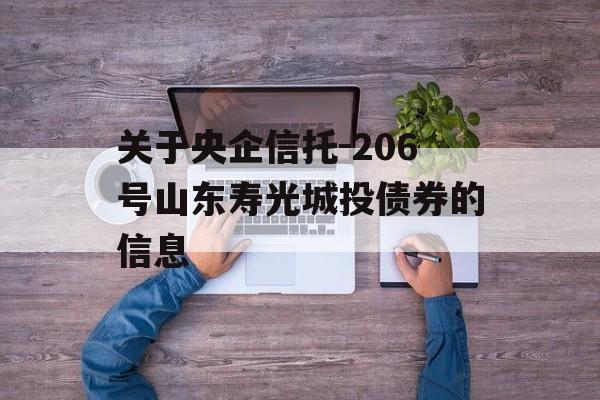 关于央企信托-206号山东寿光城投债券的信息