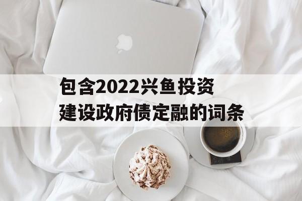 包含2022兴鱼投资建设政府债定融的词条