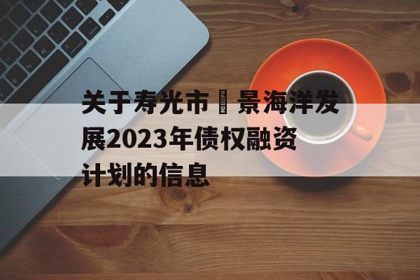 关于寿光市昇景海洋发展2023年债权融资计划的信息