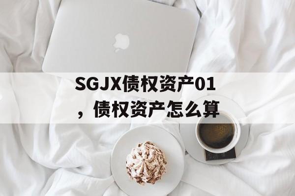 SGJX债权资产01，债权资产怎么算