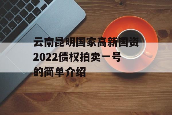 云南昆明国家高新国资2022债权拍卖一号的简单介绍