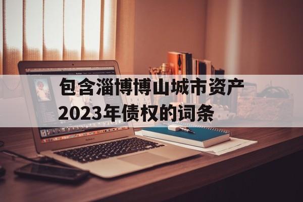 包含淄博博山城市资产2023年债权的词条