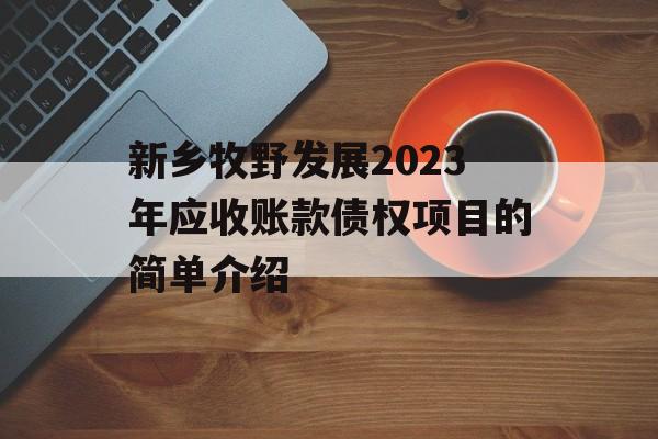 新乡牧野发展2023年应收账款债权项目的简单介绍