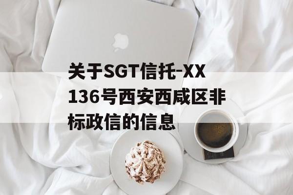 关于SGT信托-XX136号西安西咸区非标政信的信息