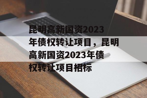 昆明高新国资2023年债权转让项目，昆明高新国资2023年债权转让项目招标