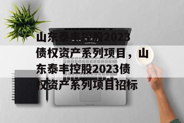 山东泰丰控股2023债权资产系列项目，山东泰丰控股2023债权资产系列项目招标