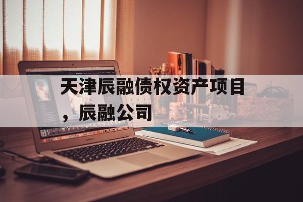 天津辰融债权资产项目，辰融公司