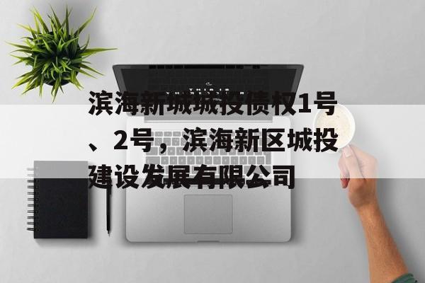 滨海新城城投债权1号、2号，滨海新区城投建设发展有限公司