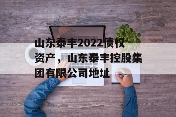 山东泰丰2022债权资产，山东泰丰控股集团有限公司地址