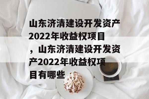 山东济清建设开发资产2022年收益权项目，山东济清建设开发资产2022年收益权项目有哪些