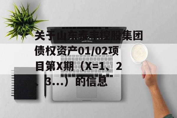 关于山东泰丰控股集团债权资产01/02项目第X期（X=1、2、3...）的信息