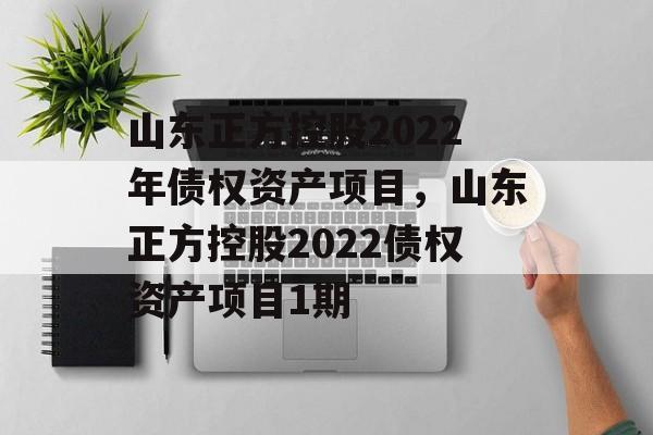 山东正方控股2022年债权资产项目，山东正方控股2022债权资产项目1期