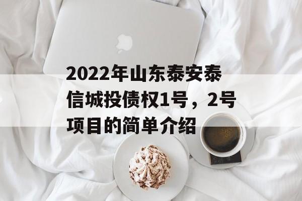 2022年山东泰安泰信城投债权1号，2号项目的简单介绍