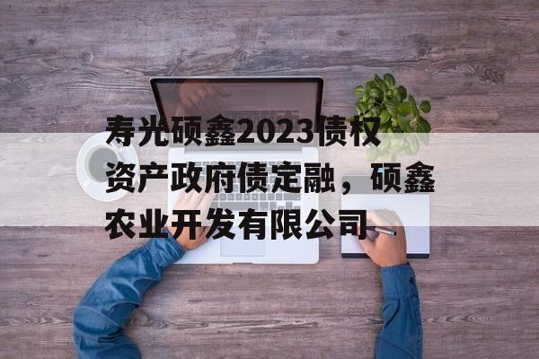 寿光硕鑫2023债权资产政府债定融，硕鑫农业开发有限公司