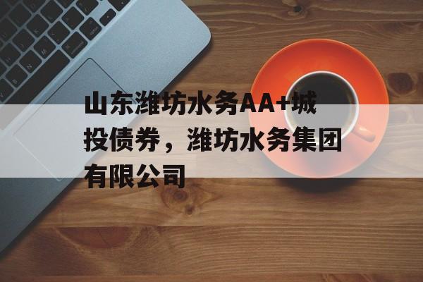 山东潍坊水务AA+城投债券，潍坊水务集团有限公司