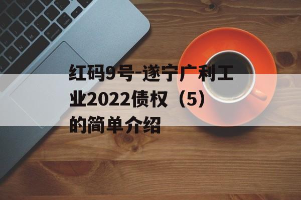 红码9号-遂宁广利工业2022债权（5）的简单介绍