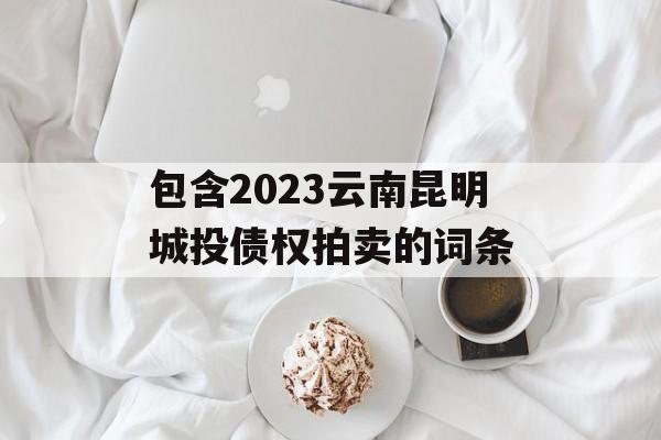 包含2023云南昆明城投债权拍卖的词条