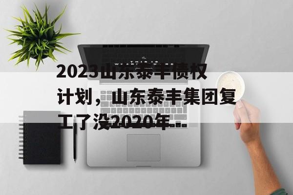 2023山东泰丰债权计划，山东泰丰集团复工了没2020年