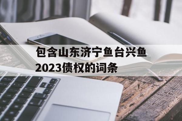 包含山东济宁鱼台兴鱼2023债权的词条