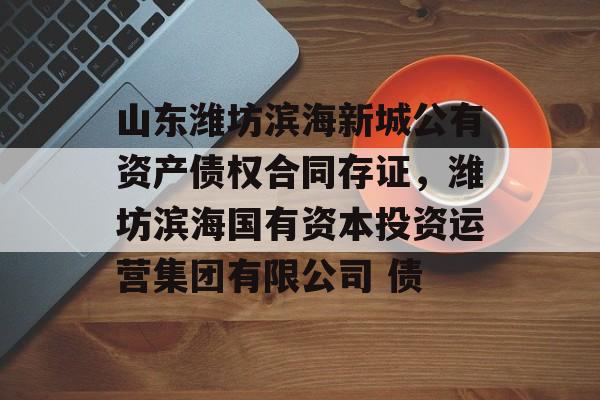 山东潍坊滨海新城公有资产债权合同存证，潍坊滨海国有资本投资运营集团有限公司 债