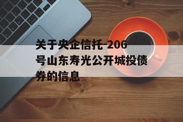 关于央企信托-206号山东寿光公开城投债券的信息