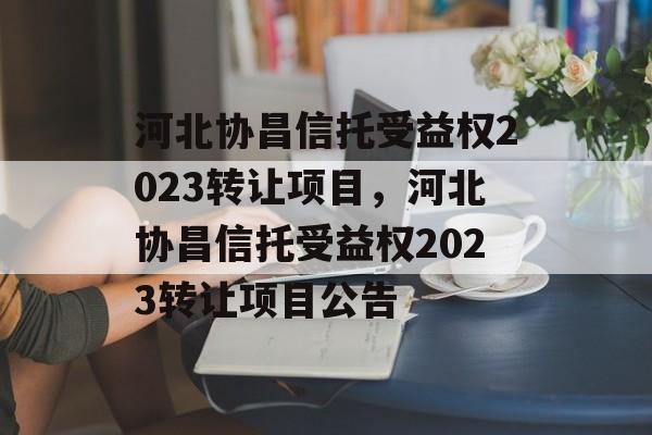 河北协昌信托受益权2023转让项目，河北协昌信托受益权2023转让项目公告