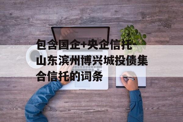 包含国企+央企信托-山东滨州博兴城投债集合信托的词条