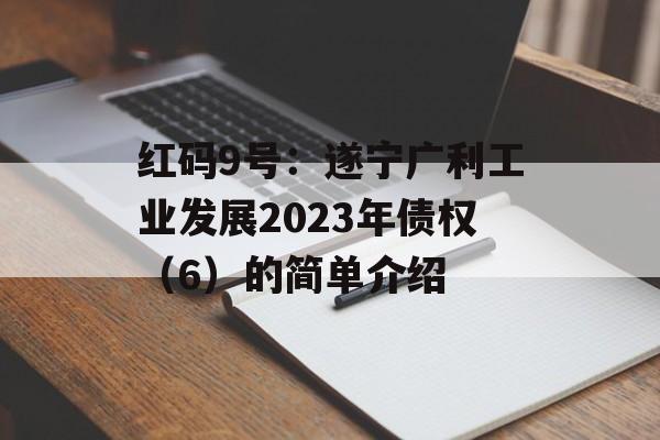 红码9号：遂宁广利工业发展2023年债权（6）的简单介绍