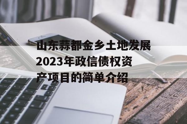 山东蒜都金乡土地发展2023年政信债权资产项目的简单介绍