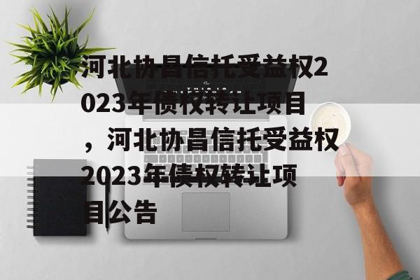 河北协昌信托受益权2023年债权转让项目，河北协昌信托受益权2023年债权转让项目公告