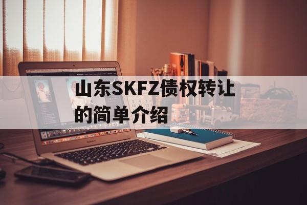 山东SKFZ债权转让的简单介绍