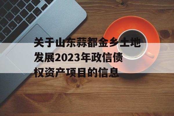 关于山东蒜都金乡土地发展2023年政信债权资产项目的信息