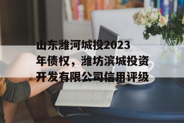 山东潍河城投2023年债权，潍坊滨城投资开发有限公司信用评级