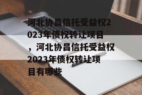 河北协昌信托受益权2023年债权转让项目，河北协昌信托受益权2023年债权转让项目有哪些