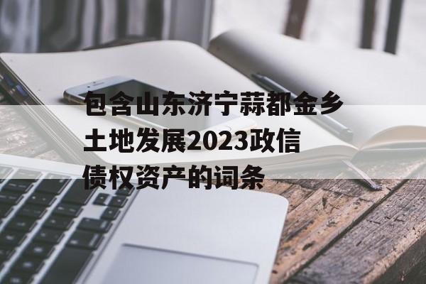 包含山东济宁蒜都金乡土地发展2023政信债权资产的词条