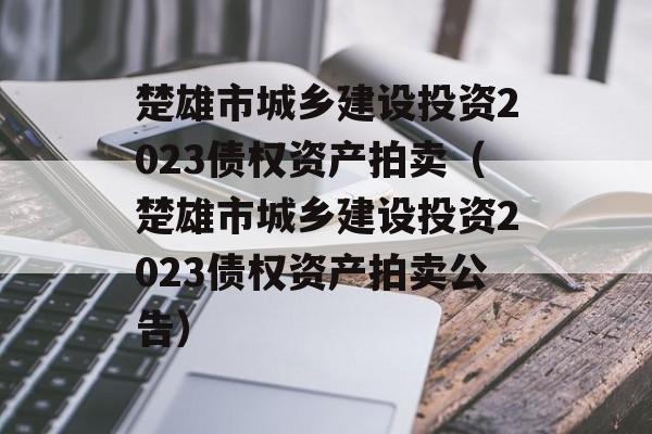 楚雄市城乡建设投资2023债权资产拍卖（楚雄市城乡建设投资2023债权资产拍卖公告）