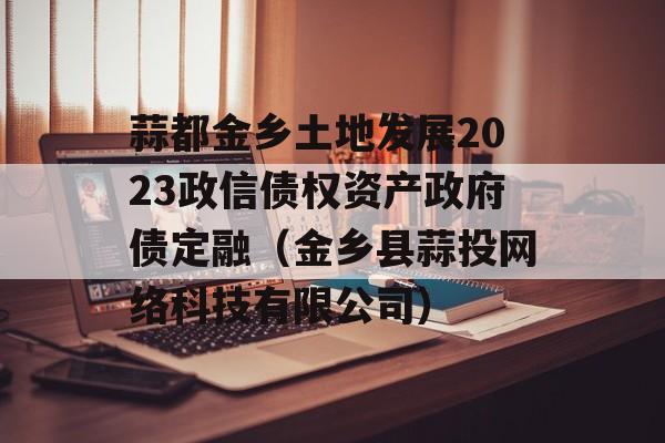 蒜都金乡土地发展2023政信债权资产政府债定融（金乡县蒜投网络科技有限公司）