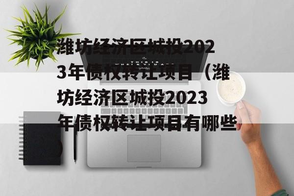 潍坊经济区城投2023年债权转让项目（潍坊经济区城投2023年债权转让项目有哪些）