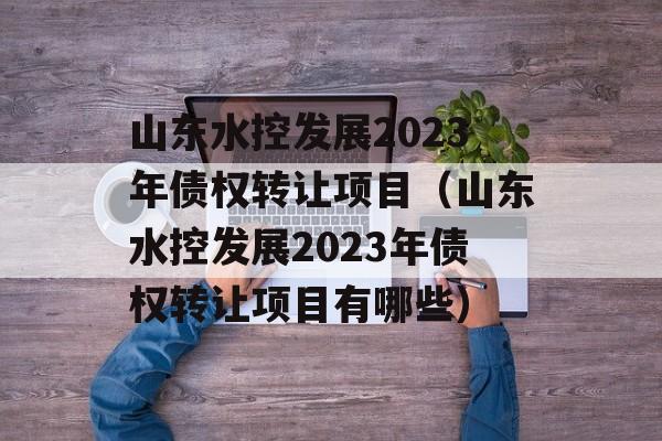 山东水控发展2023年债权转让项目（山东水控发展2023年债权转让项目有哪些）