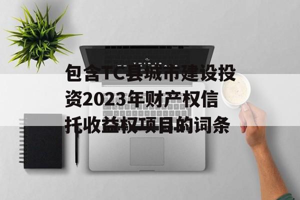 包含TC县城市建设投资2023年财产权信托收益权项目的词条