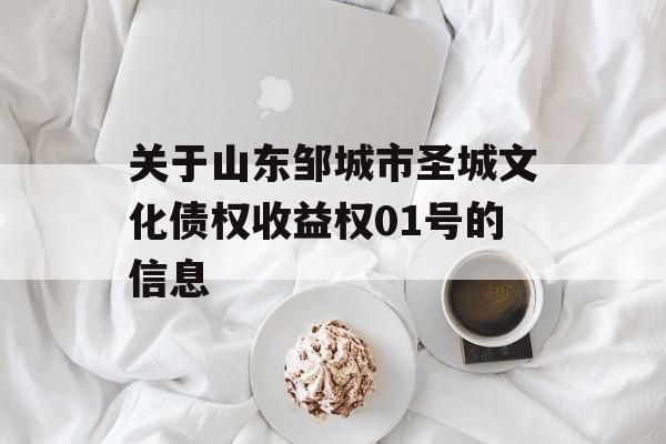 关于山东邹城市圣城文化债权收益权01号的信息