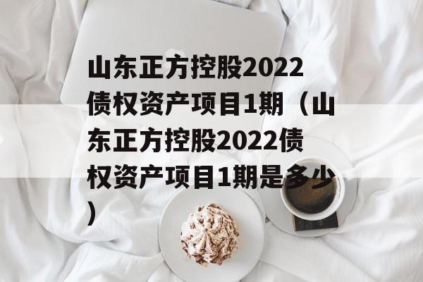 山东正方控股2022债权资产项目1期（山东正方控股2022债权资产项目1期是多少）