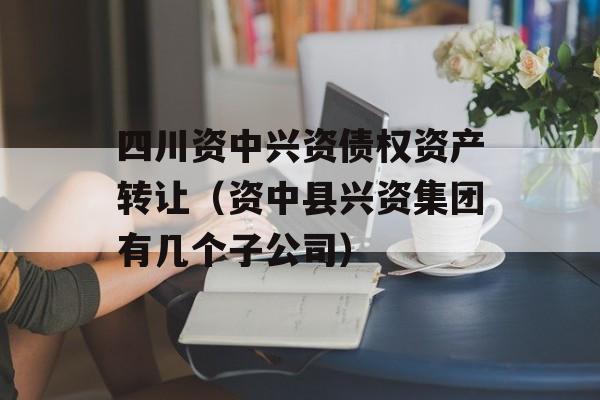 四川资中兴资债权资产转让（资中县兴资集团有几个子公司）