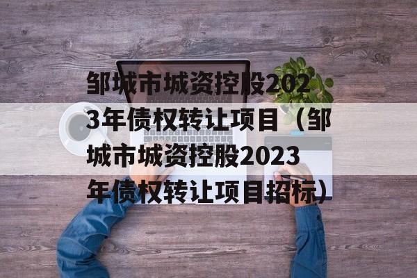 邹城市城资控股2023年债权转让项目（邹城市城资控股2023年债权转让项目招标）